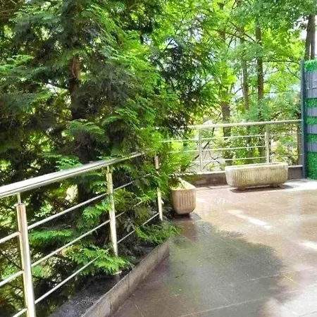 Sarajevo City Apartment Apartment *